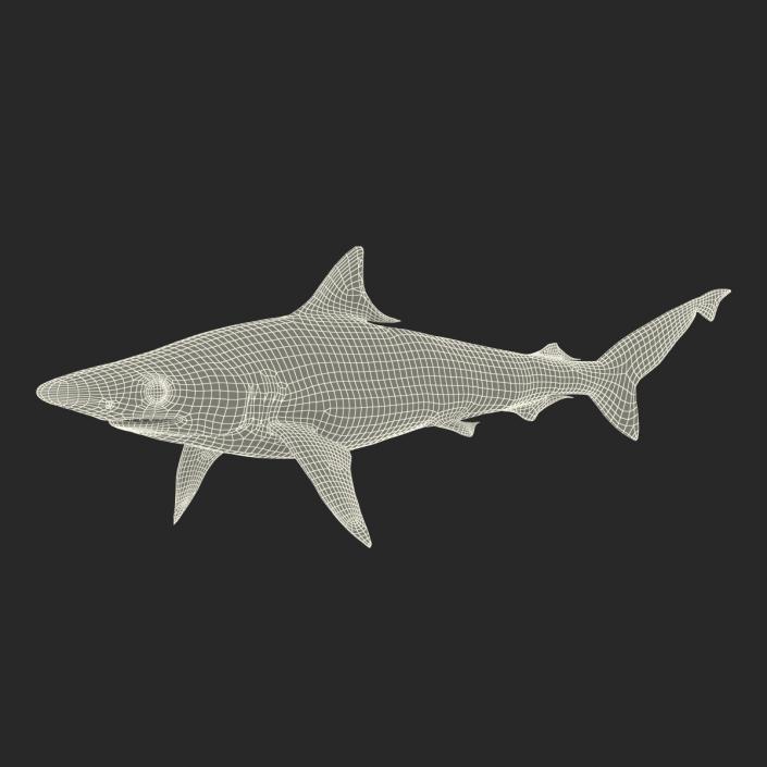 Milk Shark Rigged 3D