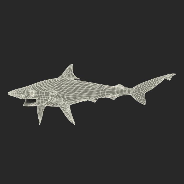 Milk Shark Rigged 3D