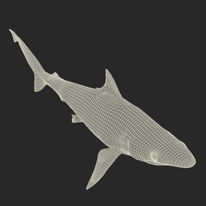 Milk Shark Rigged 3D