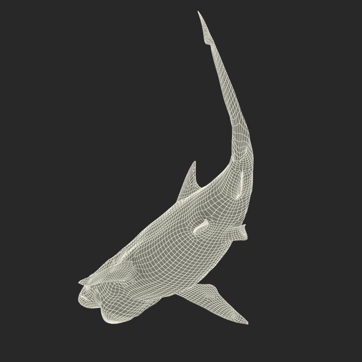 Milk Shark Rigged 3D