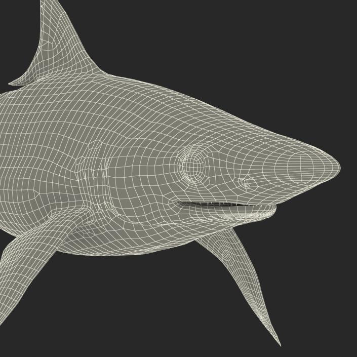 Milk Shark Rigged 3D