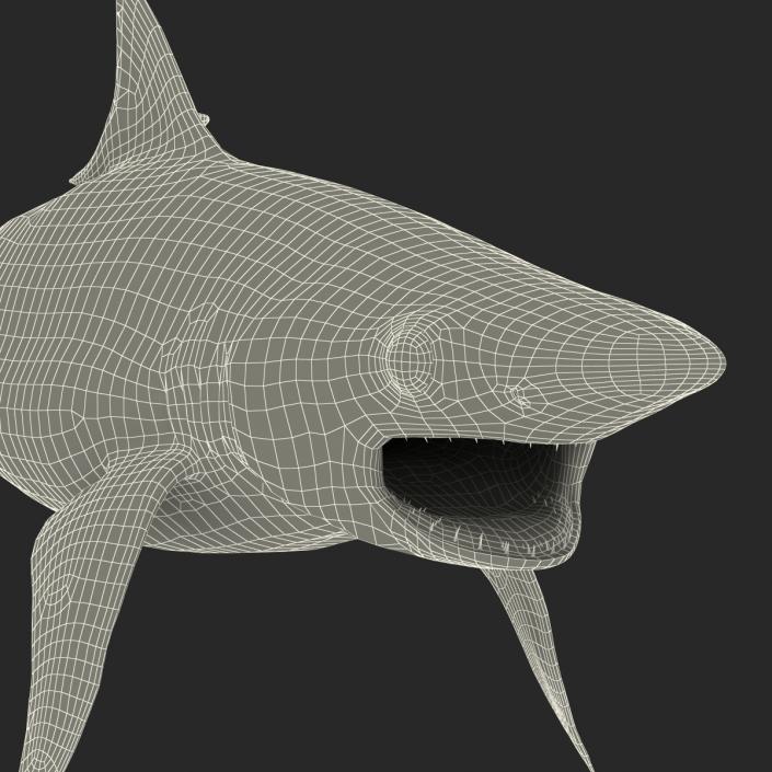 Milk Shark Rigged 3D