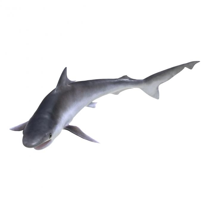 Milk Shark Pose 2 3D