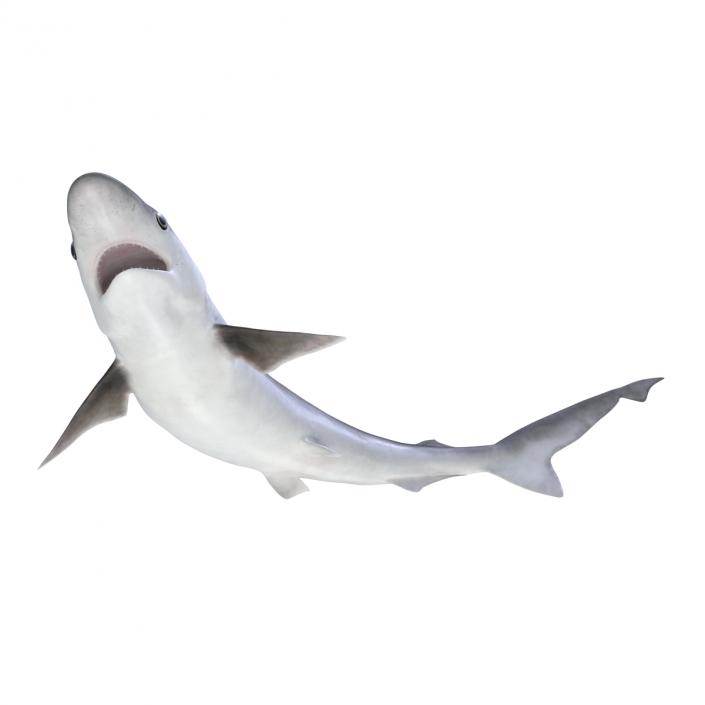 Milk Shark Pose 2 3D