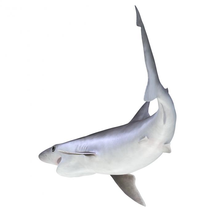 Milk Shark Pose 2 3D