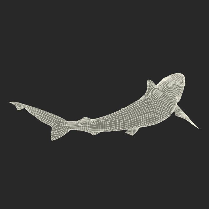 Milk Shark Pose 2 3D