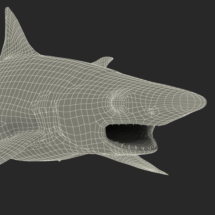 Milk Shark Pose 2 3D