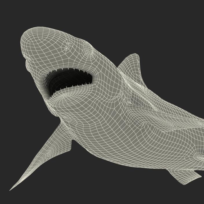 Milk Shark Pose 2 3D