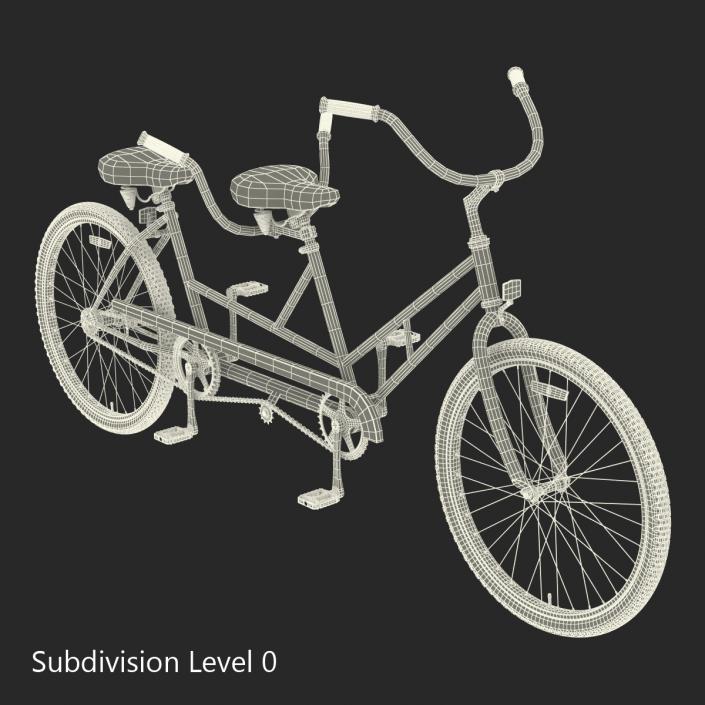 Retro Bicycle Built for Two Rigged 3D model