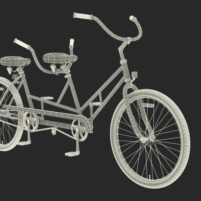 Retro Bicycle Built for Two Rigged 3D model