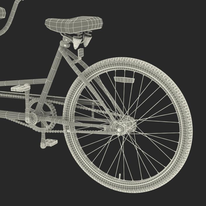 Retro Bicycle Built for Two Rigged 3D model