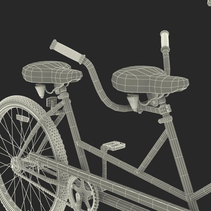 Retro Bicycle Built for Two Rigged 3D model