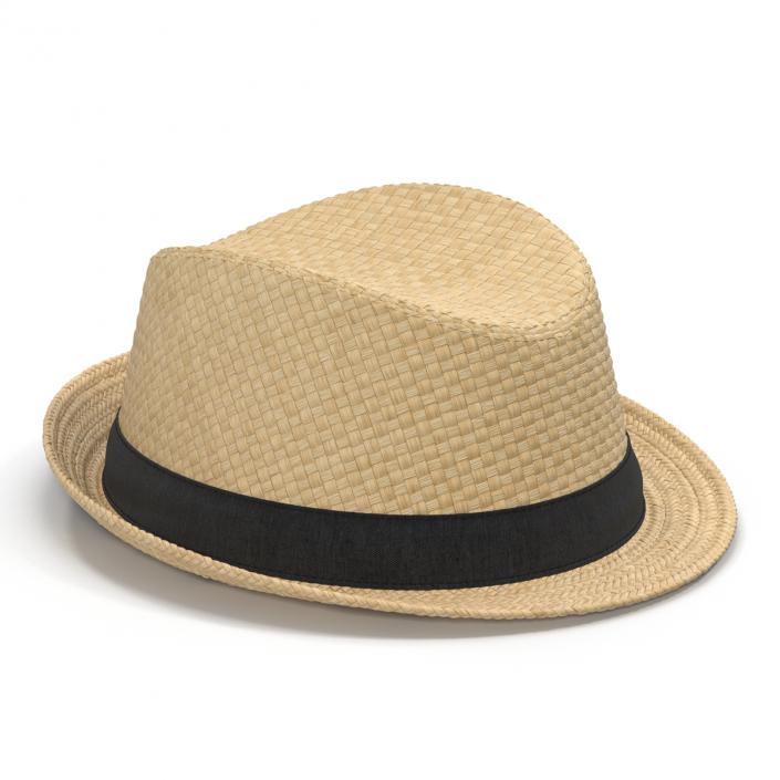 Mens Straw Hat 3D model