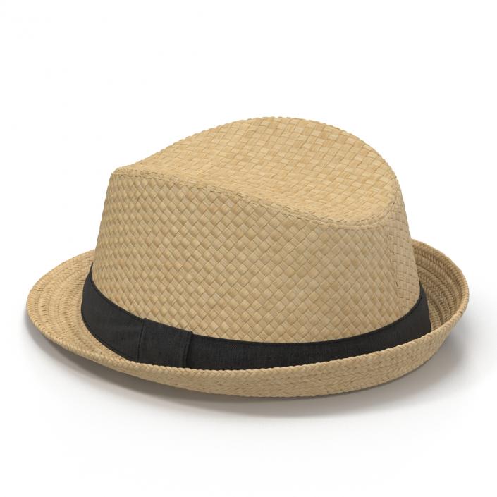 Mens Straw Hat 3D model