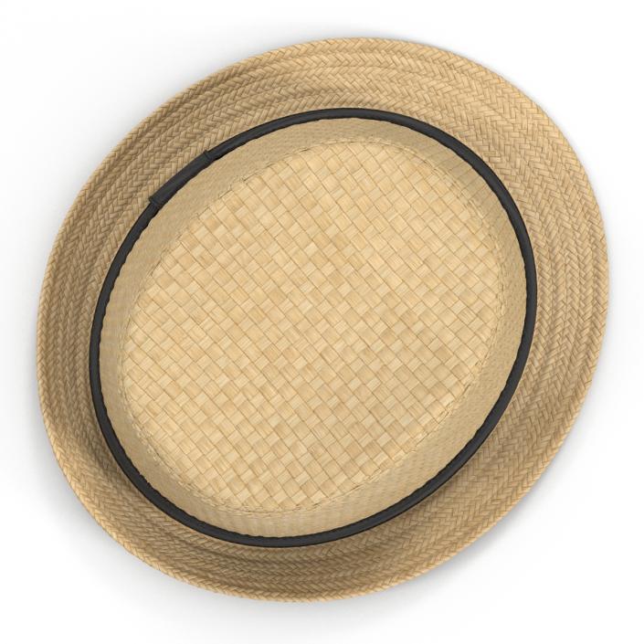 Mens Straw Hat 3D model