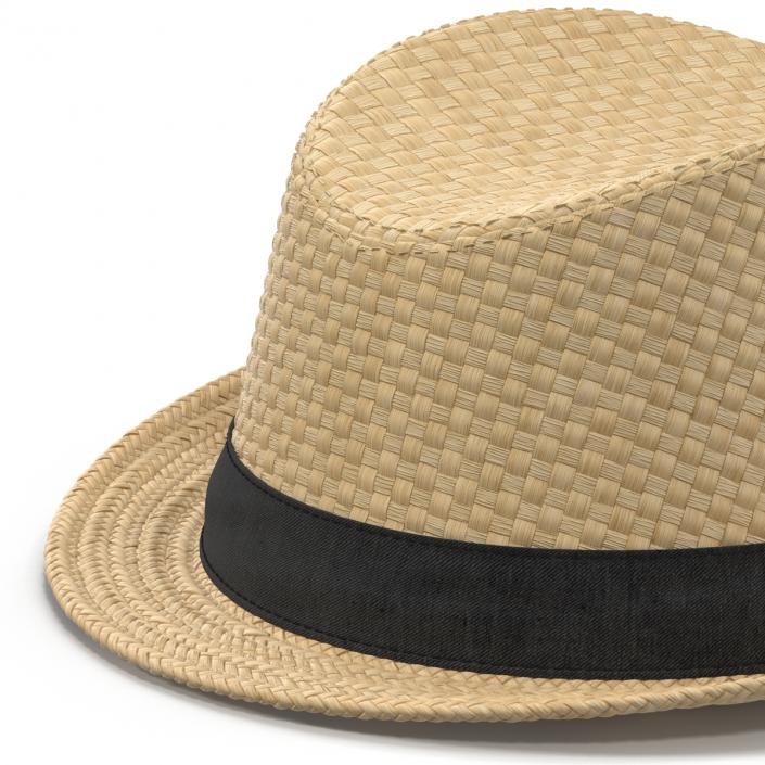 Mens Straw Hat 3D model