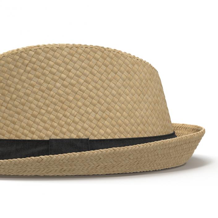 Mens Straw Hat 3D model