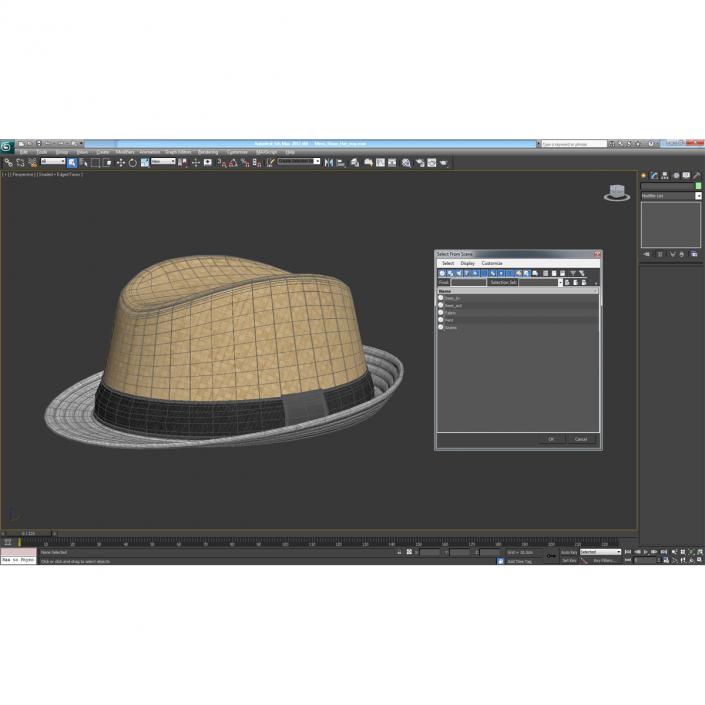 Mens Straw Hat 3D model