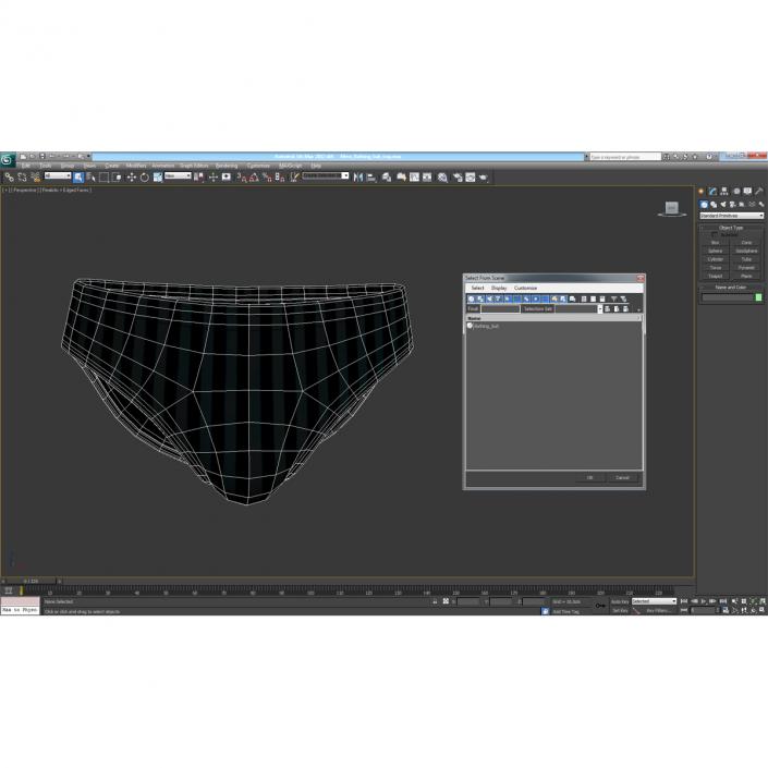 Mens Bathing Suit 3D