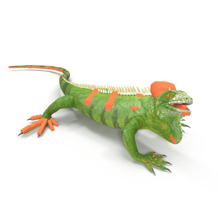 Green Iguana Rigged 3D model