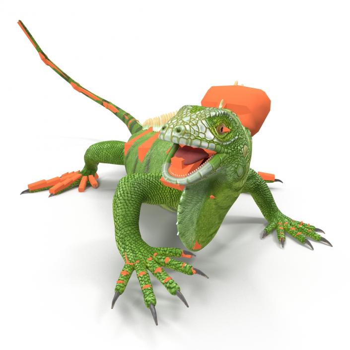 Green Iguana Rigged 3D model