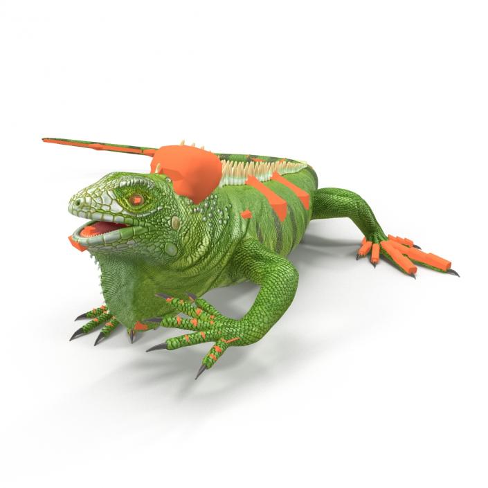 Green Iguana Rigged 3D model