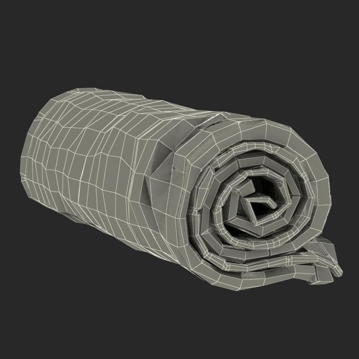 3D Rolled Towel Green model