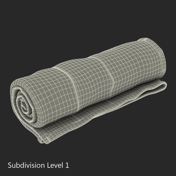 Rolled Towel Blue 3D