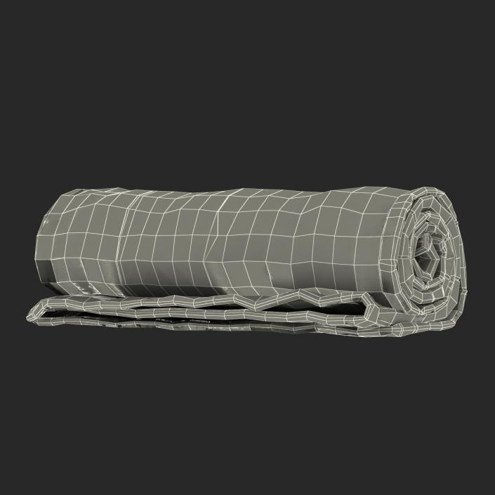 Rolled Towel Blue 3D