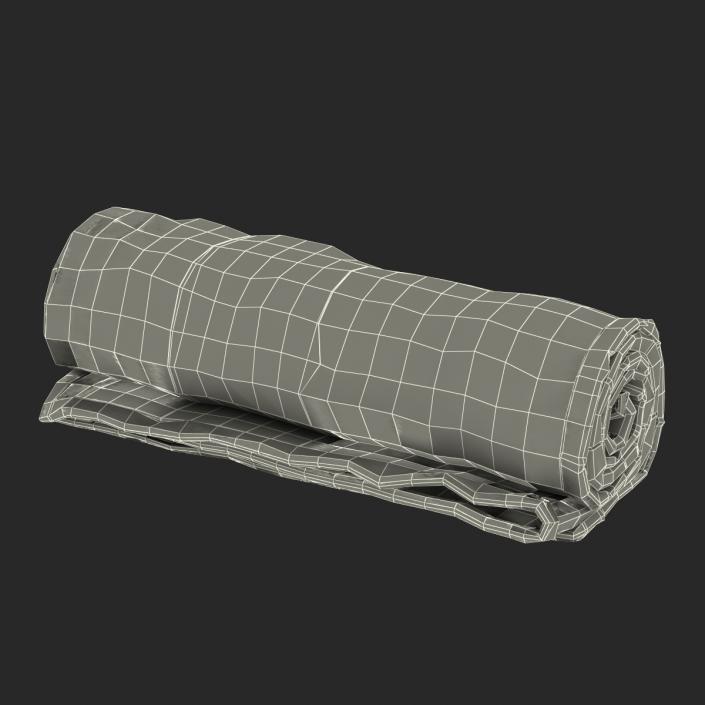 Rolled Towel Blue 3D