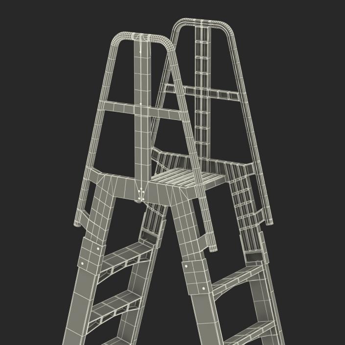 Double Sided Step Ladder 3D model