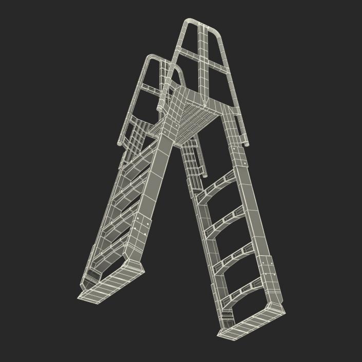 Double Sided Step Ladder 3D model