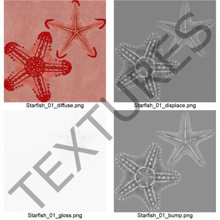 Red Knobbed Starfish Rigged 3D