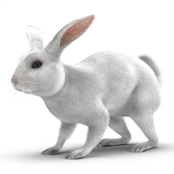 White Rabbit Rigged 3D model