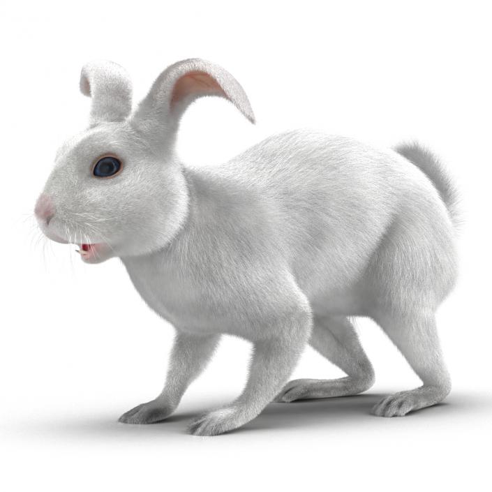 White Rabbit Rigged 3D model