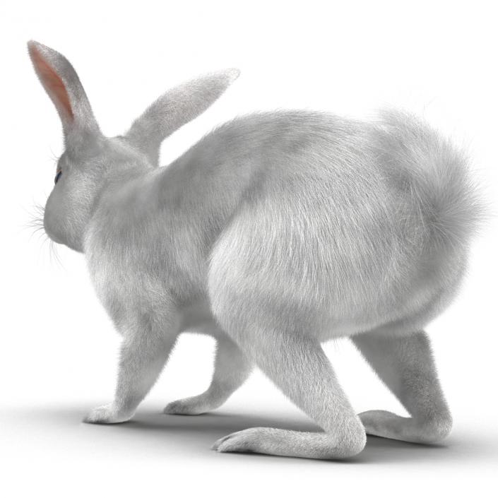 White Rabbit Rigged 3D model