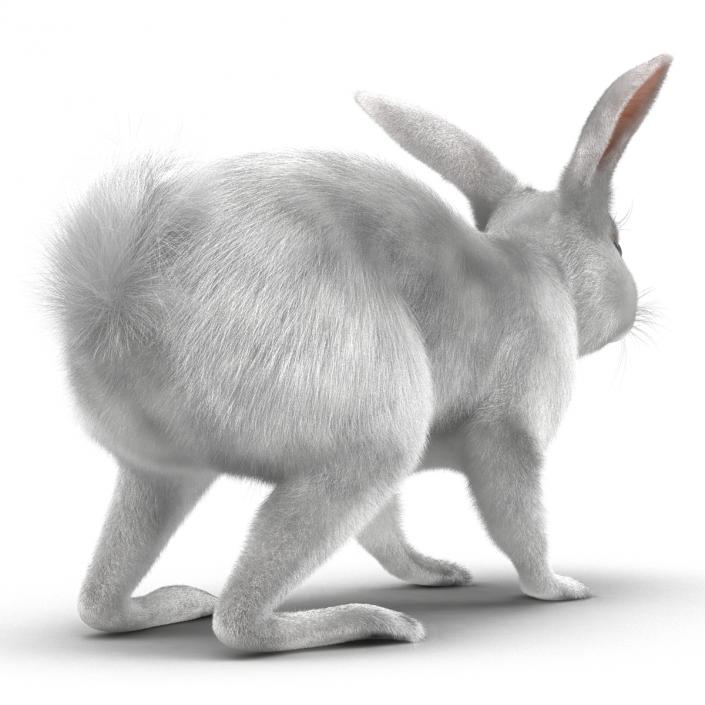 White Rabbit Rigged 3D model