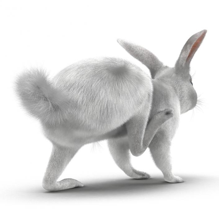 White Rabbit Rigged 3D model