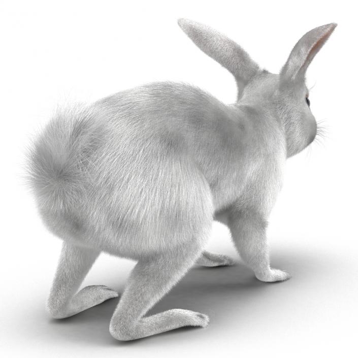 White Rabbit Rigged 3D model