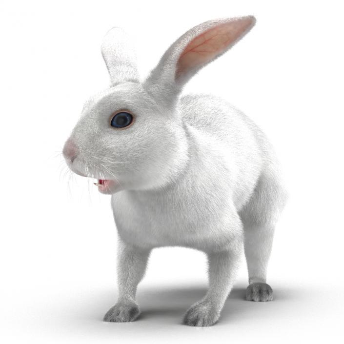 White Rabbit Rigged 3D model