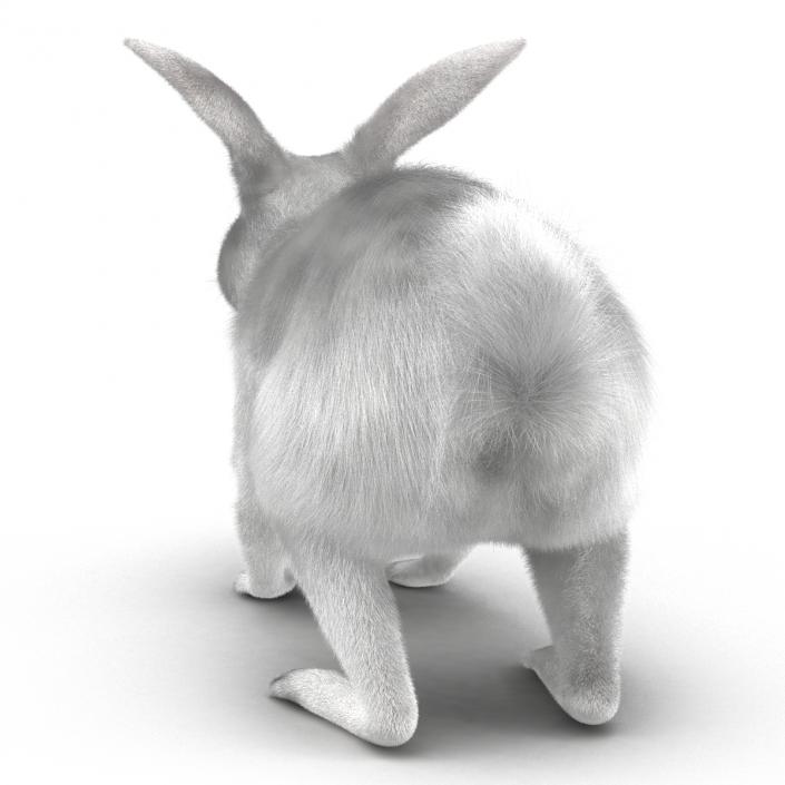 White Rabbit Rigged 3D model