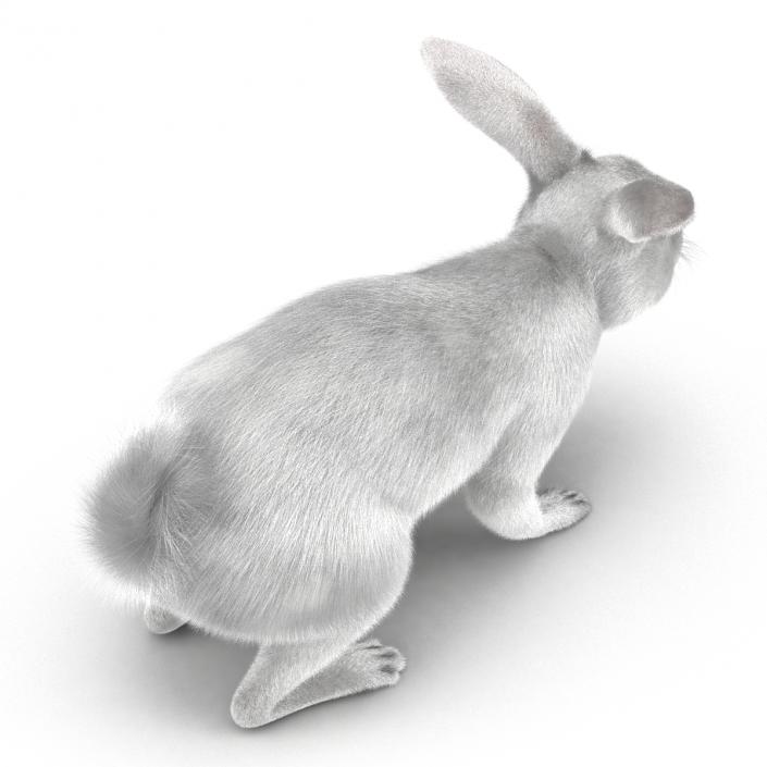 White Rabbit Rigged 3D model