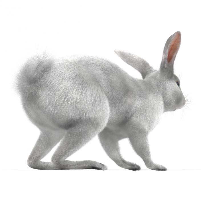 White Rabbit Rigged 3D model