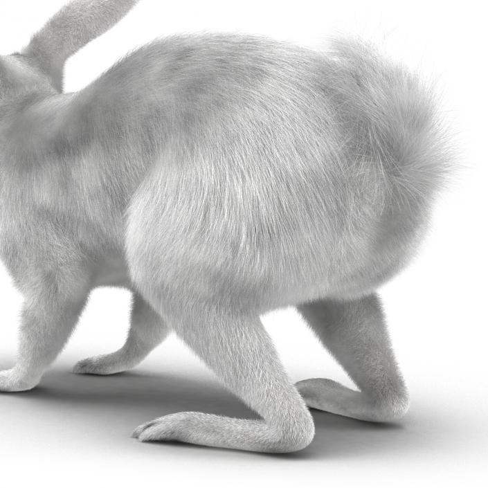 White Rabbit Rigged 3D model