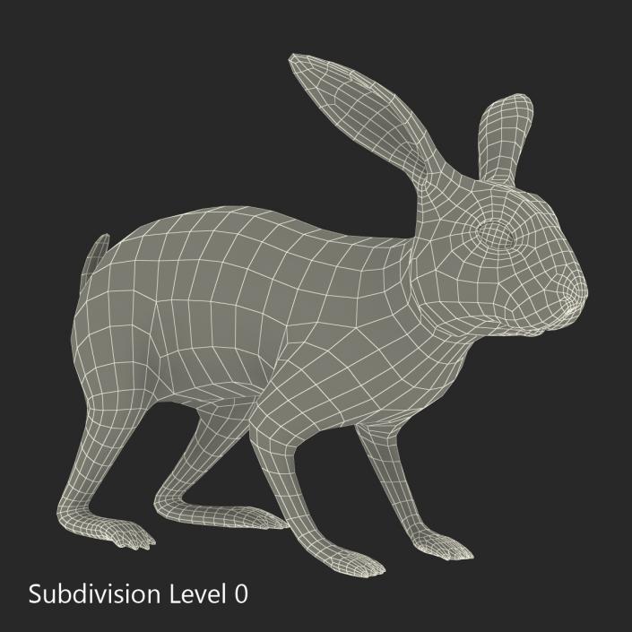 White Rabbit Rigged 3D model