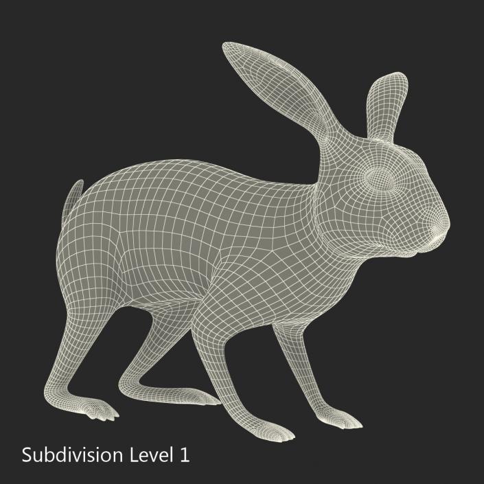 White Rabbit Rigged 3D model