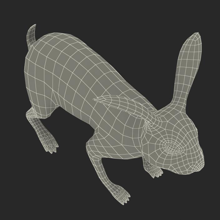 White Rabbit Rigged 3D model