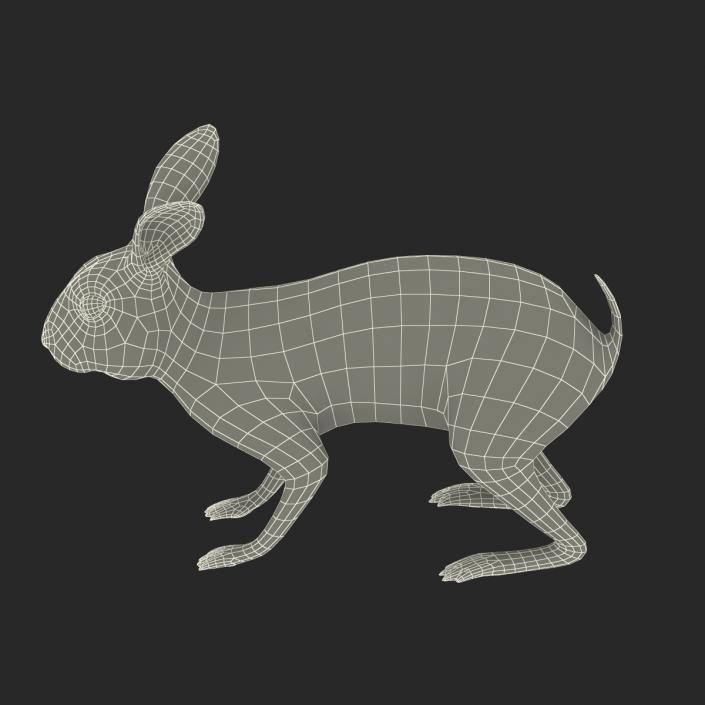 White Rabbit Rigged 3D model