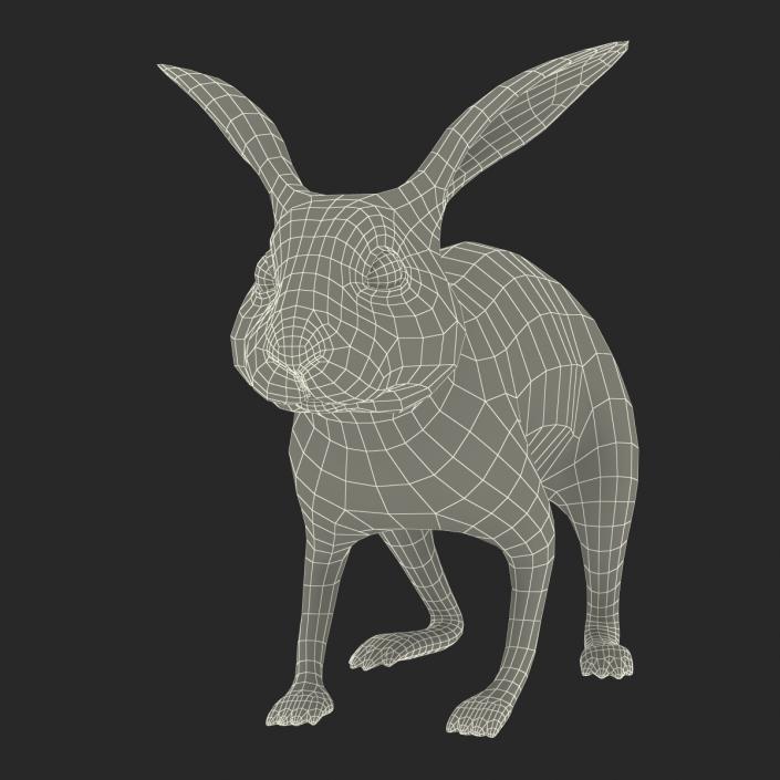 White Rabbit Rigged 3D model