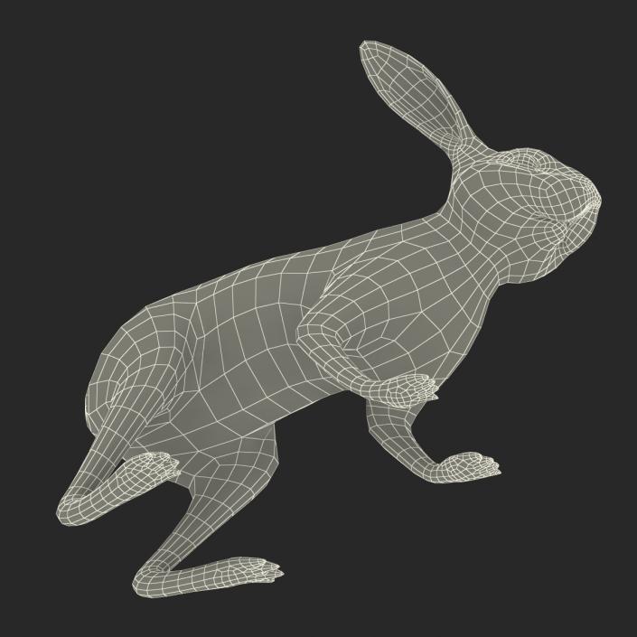 White Rabbit Rigged 3D model